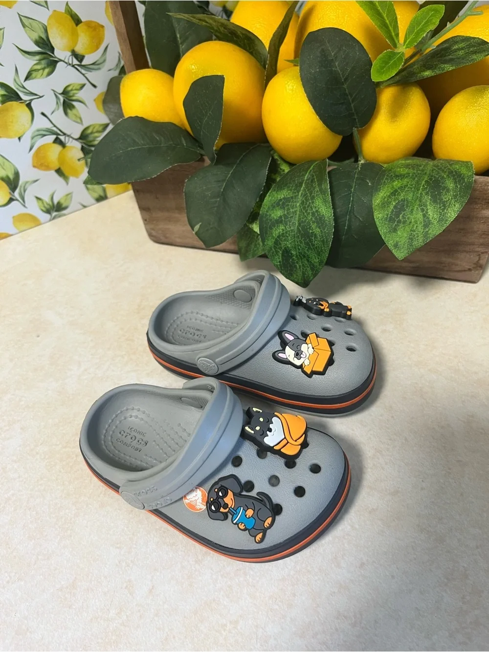 CROCS Kids Gray Clog Sandals with Orange Accent and Dog Charms Size  C5